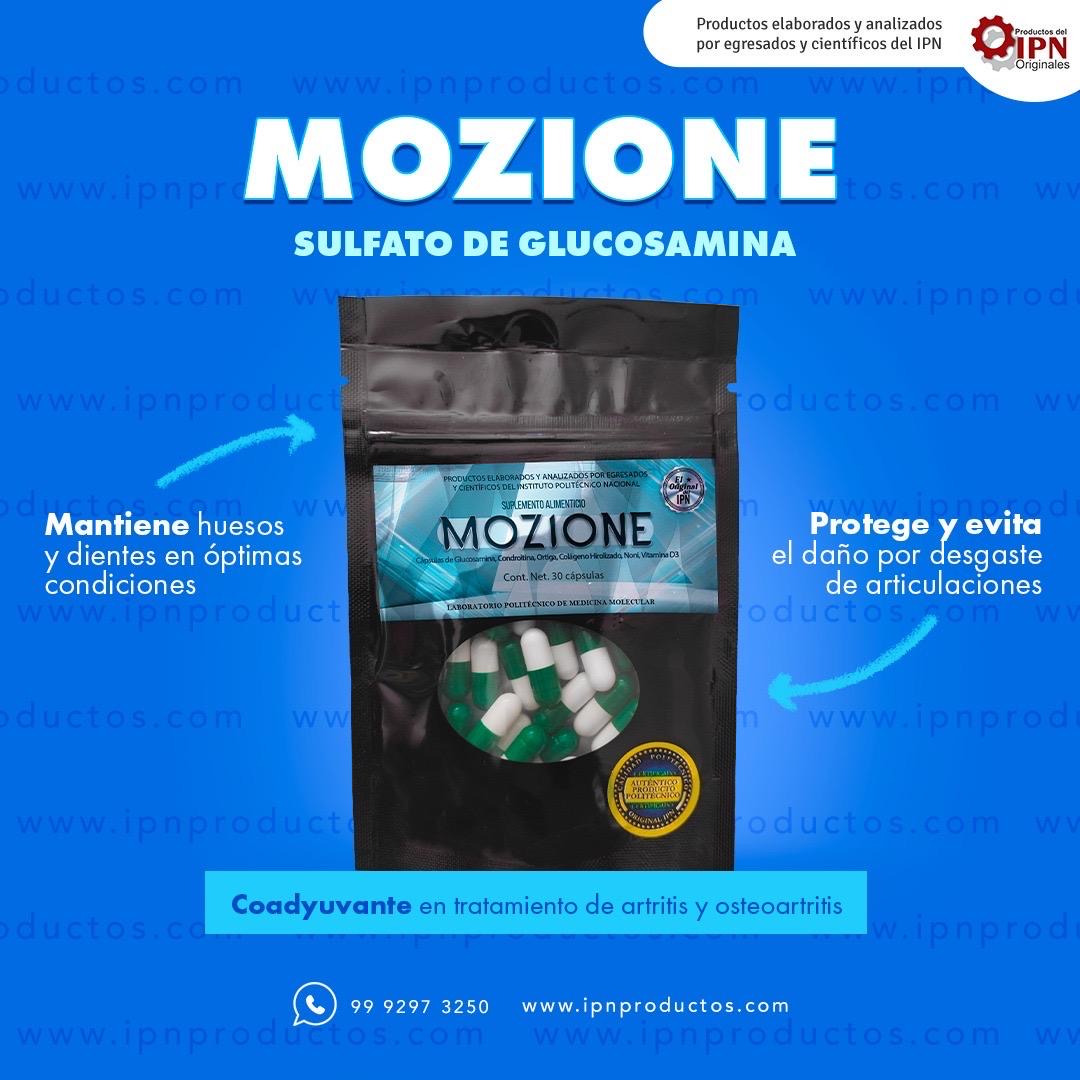 Mozione