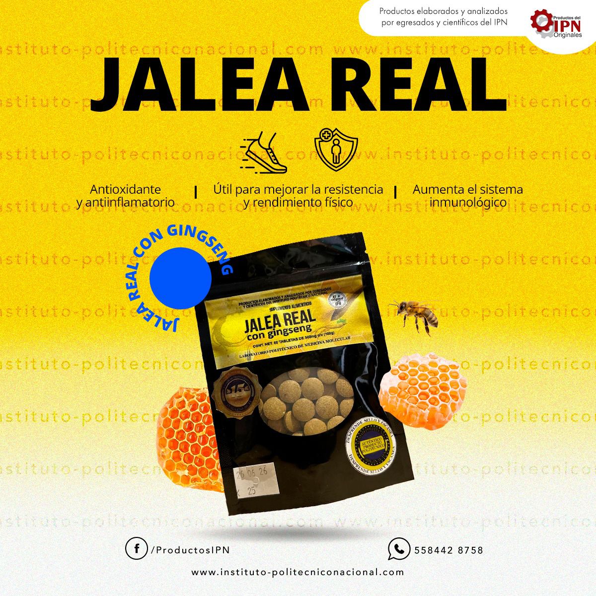 JALEA REAL