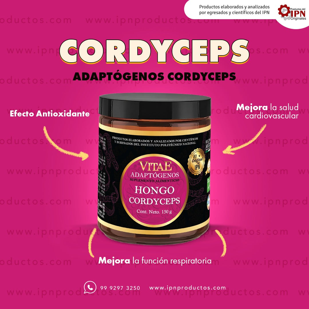 CORDYCEPS