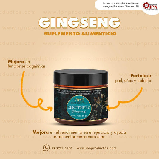 GINGSENG