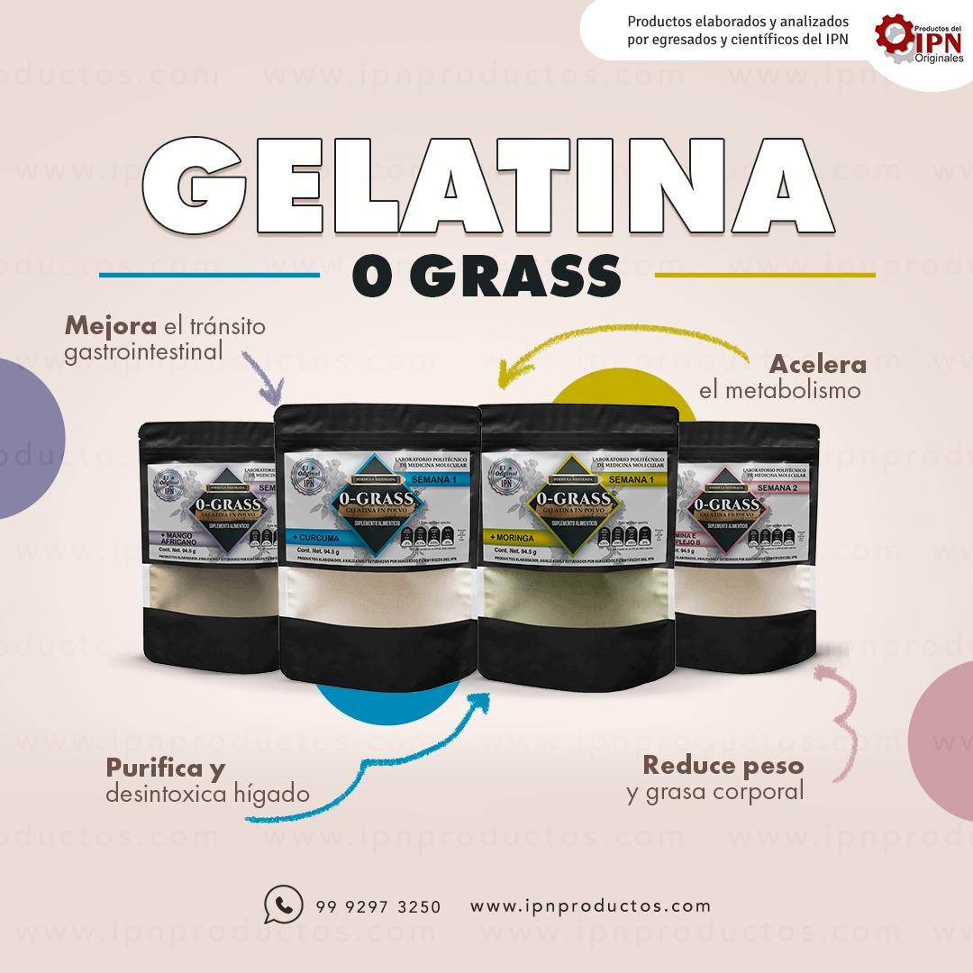 Gelatina 0 grass