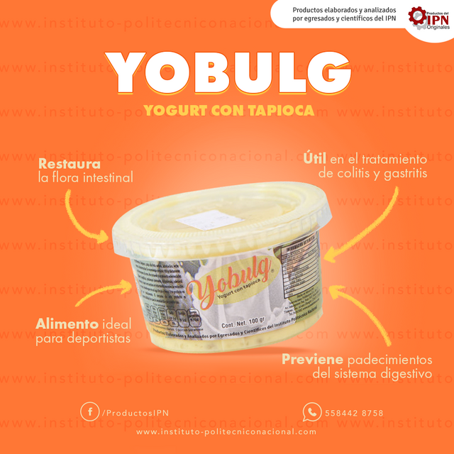 YOBULG TAPIOCA